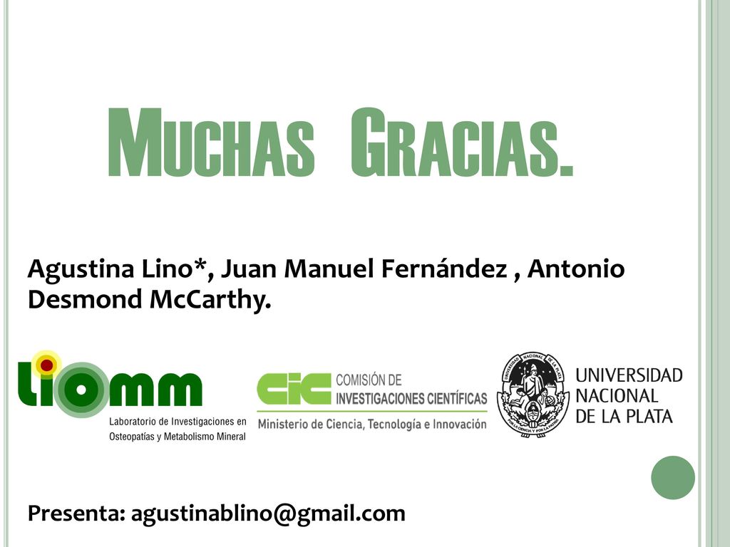 Muchas Gracias. Agustina Lino*, Juan Manuel Fernández , Antonio Desmond McCarthy.