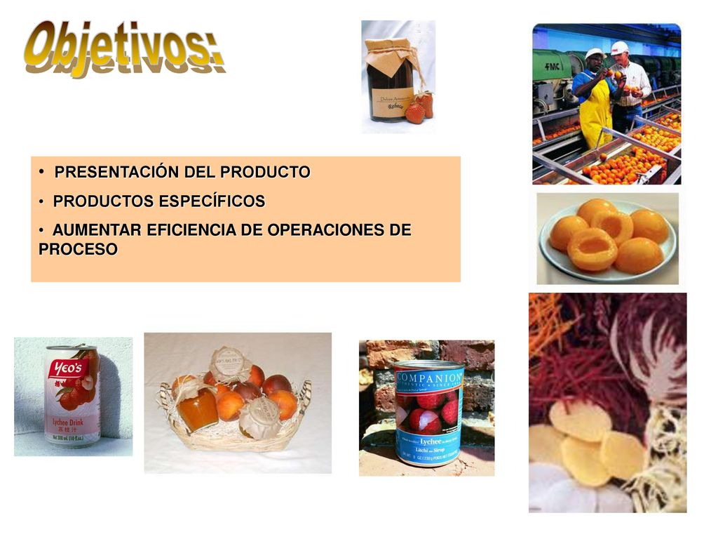 Objetivos: PRESENTACIÓN DEL PRODUCTO PRODUCTOS ESPECÍFICOS