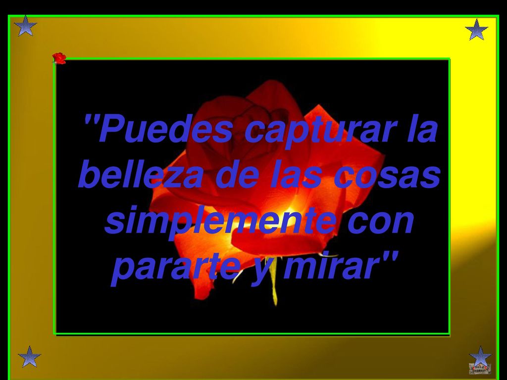 Puedes capturar la belleza de las cosas simplemente con pararte y mirar
