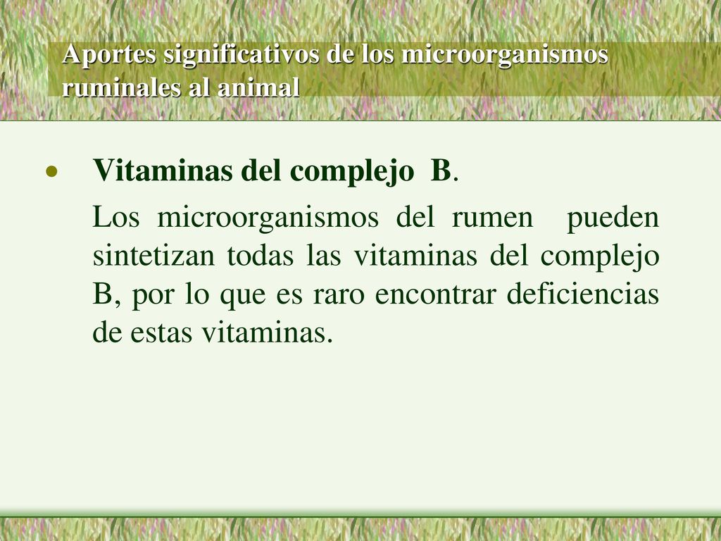 Aportes significativos de los microorganismos ruminales al animal