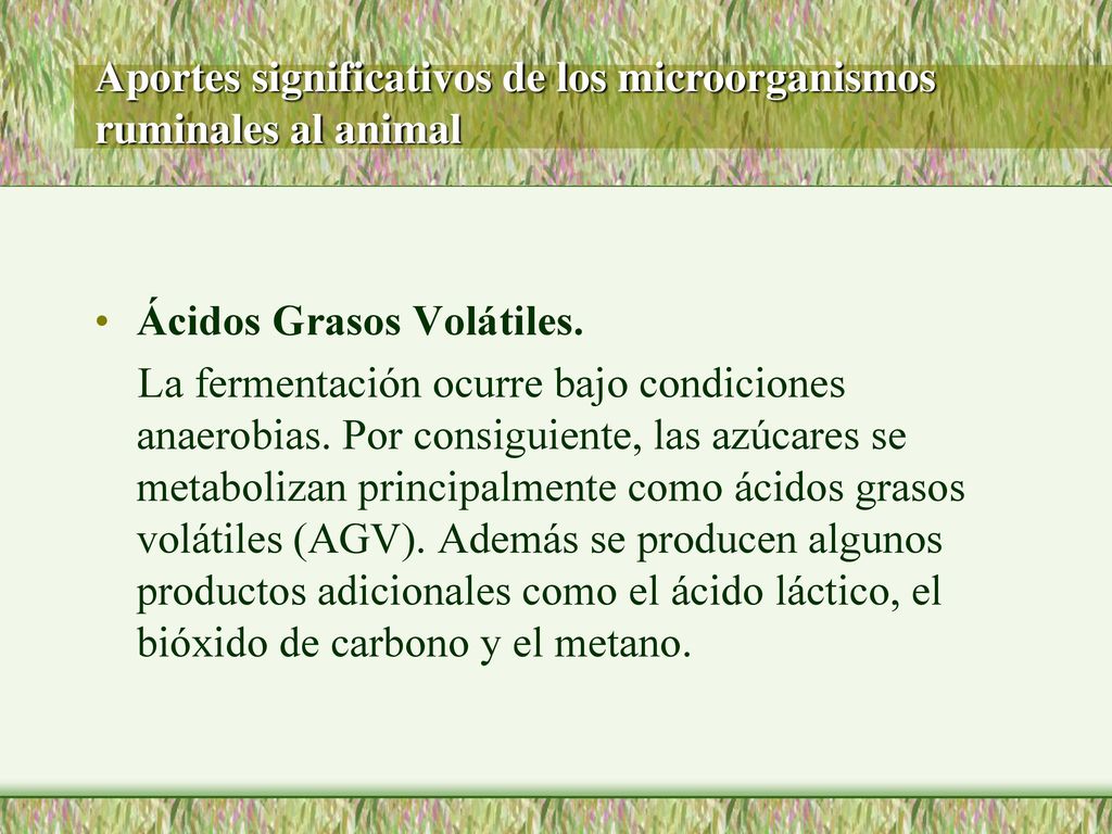 Aportes significativos de los microorganismos ruminales al animal