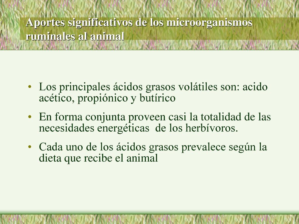 Aportes significativos de los microorganismos ruminales al animal