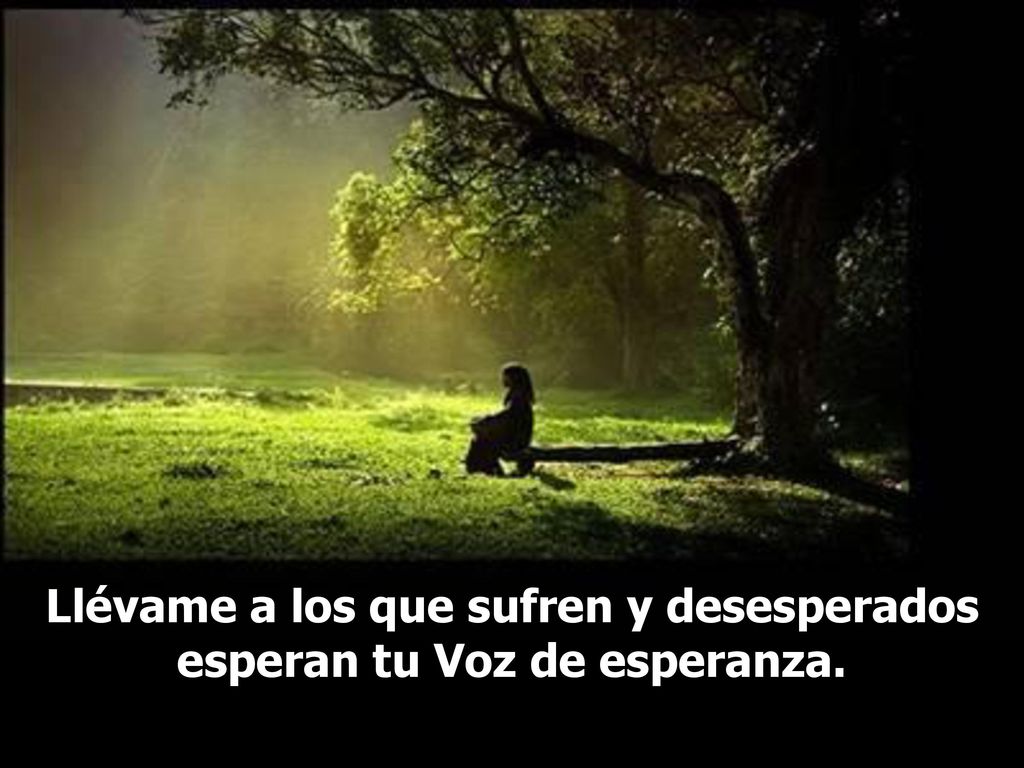 Llévame a los que sufren y desesperados esperan tu Voz de esperanza.
