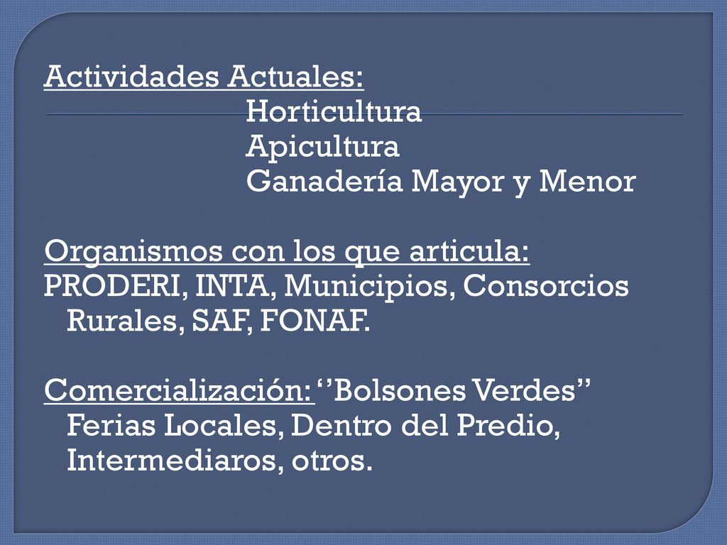 Actividades Actuales: Horticultura Apicultura Ganadería Mayor y Menor Organismos con los que articula: PRODERI, INTA, Municipios, Consorcios Rurales, SAF, FONAF.