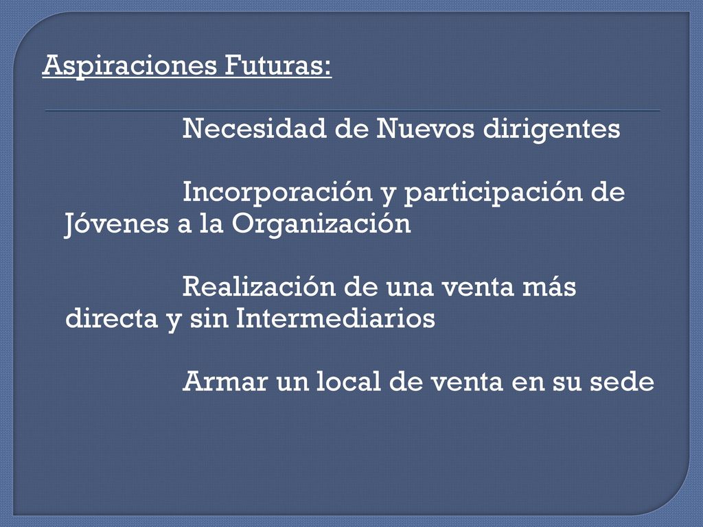 Aspiraciones Futuras: Necesidad de Nuevos dirigentes Incorporación y participación de Jóvenes a la Organización Realización de una venta más directa y sin Intermediarios Armar un local de venta en su sede
