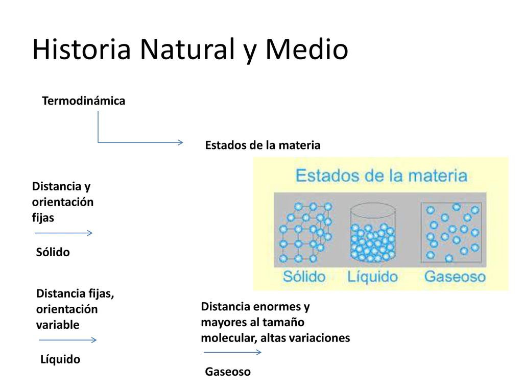Historia Natural y Medio
