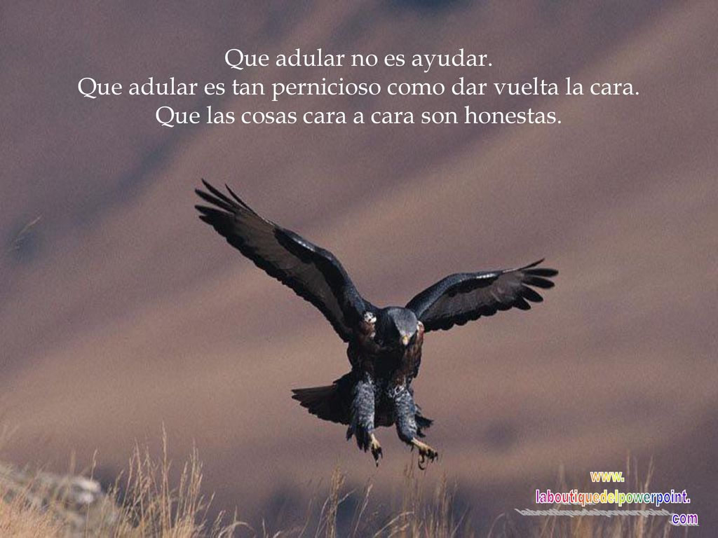 Que adular es tan pernicioso como dar vuelta la cara.