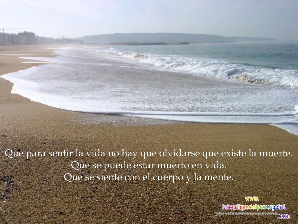 Que para sentir la vida no hay que olvidarse que existe la muerte.