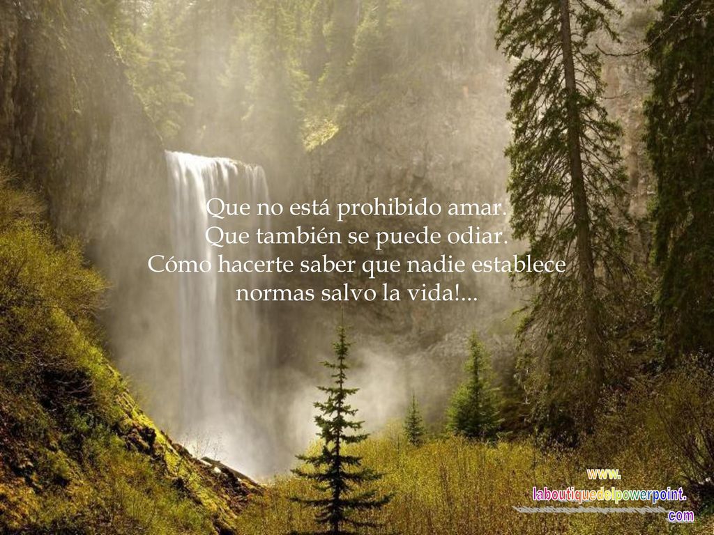 Que no está prohibido amar. Que también se puede odiar.