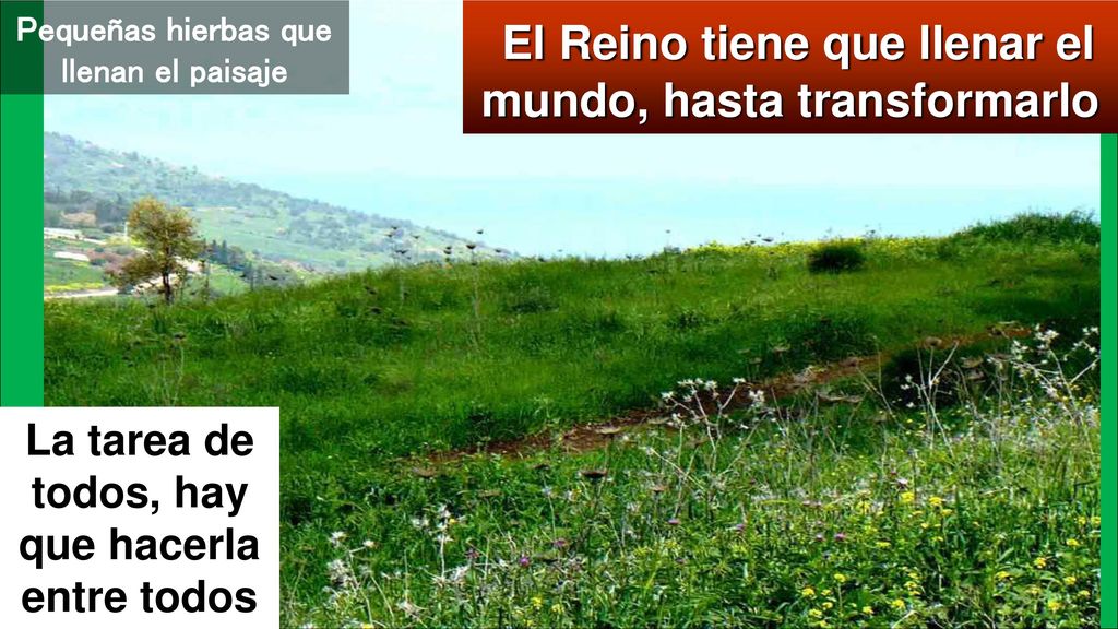 El Reino tiene que llenar el mundo, hasta transformarlo