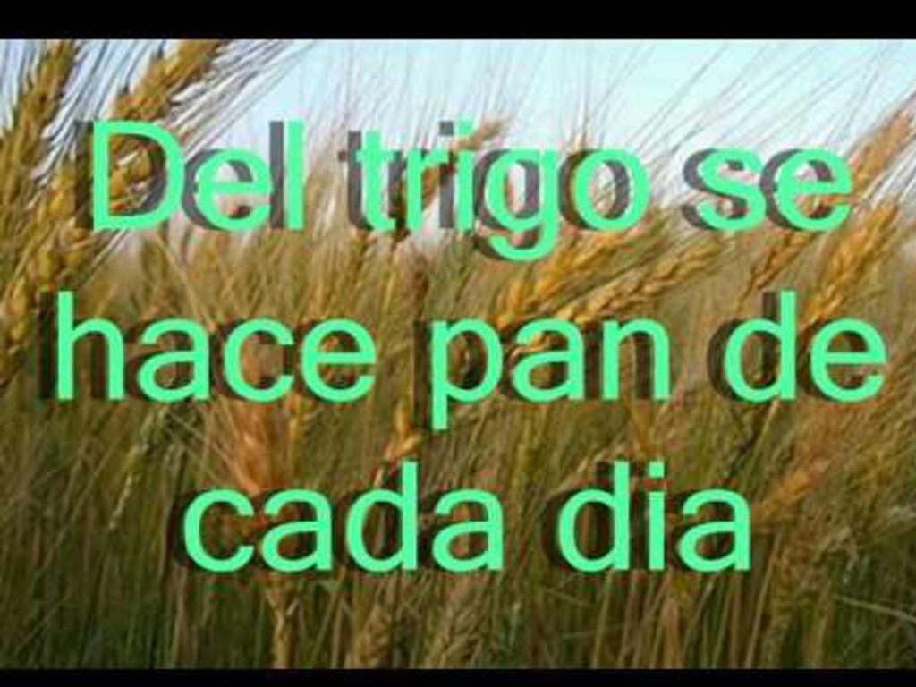 ¡Déjame tu paz y tu coraje en esta eucaristía!