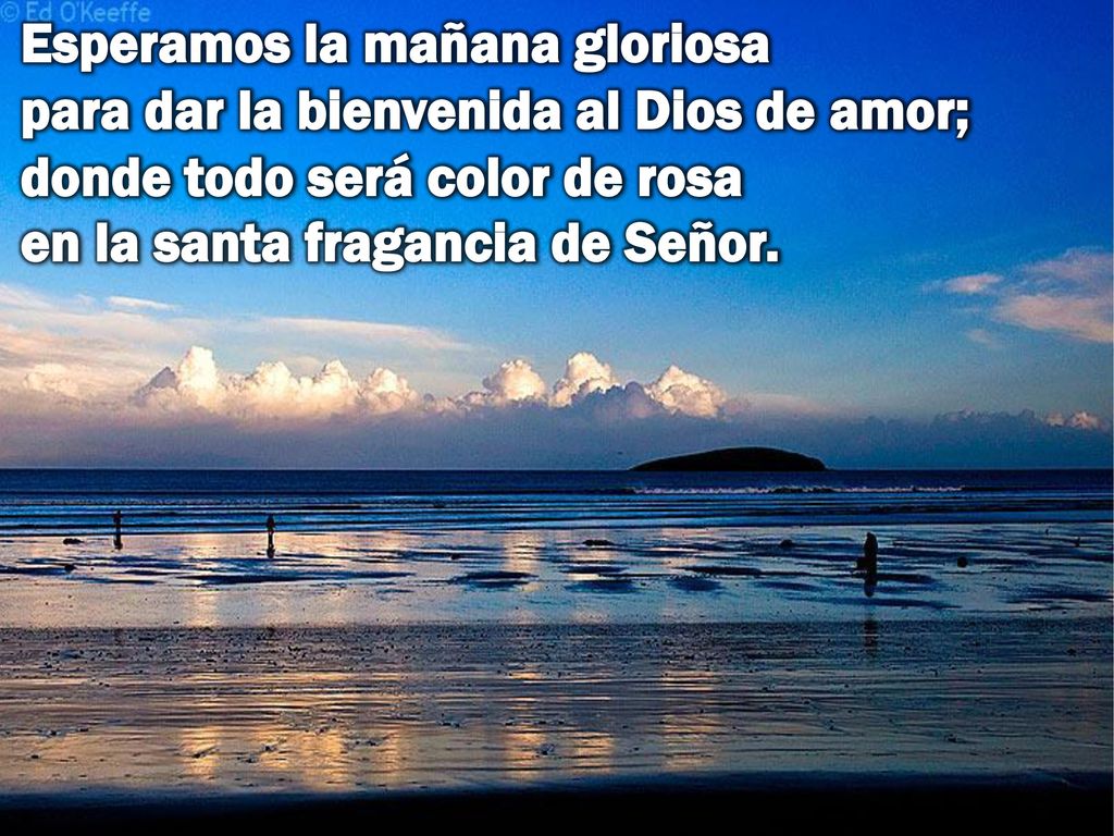 Esperamos la mañana gloriosa para dar la bienvenida al Dios de amor; donde todo será color de rosa en la santa fragancia de Señor.