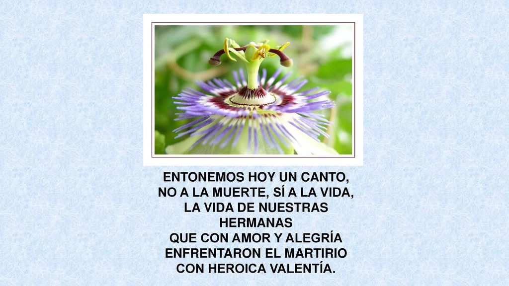 NO A LA MUERTE, SÍ A LA VIDA, LA VIDA DE NUESTRAS HERMANAS