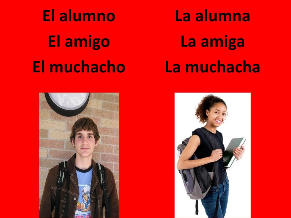 El alumno El amigo El muchacho La alumna La amiga La muchacha