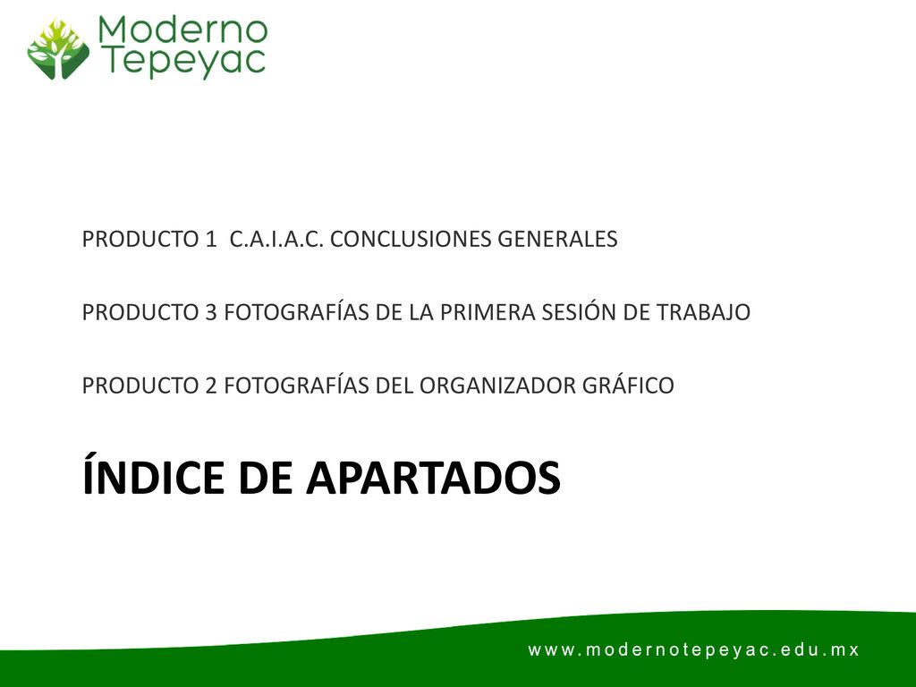 Índice de apartados PRODUCTO 1 C.A.I.A.C. CONCLUSIONES GENERALES