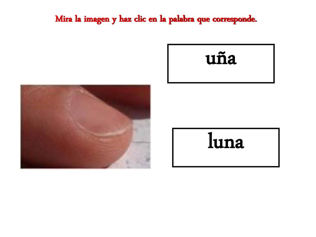 Mira la imagen y haz clic en la palabra que corresponde.