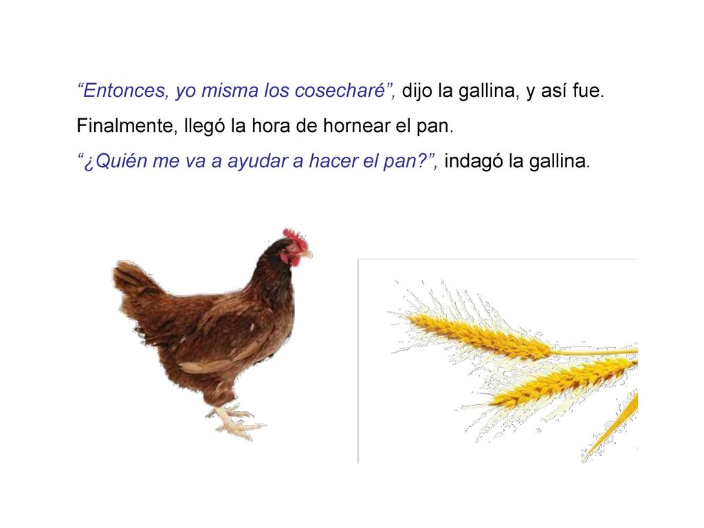 Entonces, yo misma los cosecharé , dijo la gallina, y así fue.
