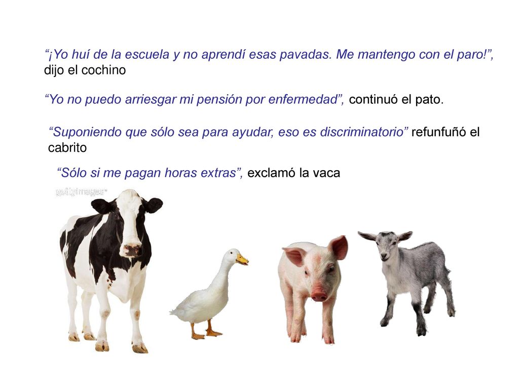 ¡Yo huí de la escuela y no aprendí esas pavadas