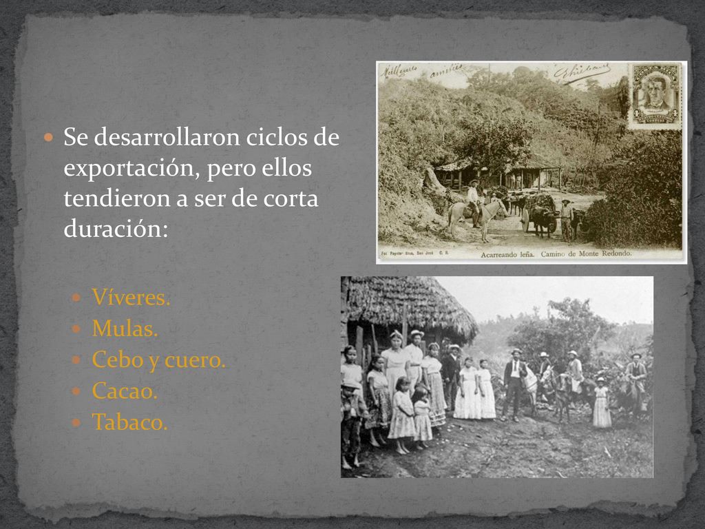Se desarrollaron ciclos de exportación, pero ellos tendieron a ser de corta duración: