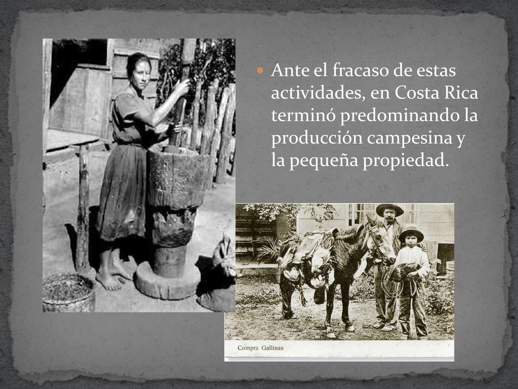 Ante el fracaso de estas actividades, en Costa Rica terminó predominando la producción campesina y la pequeña propiedad.