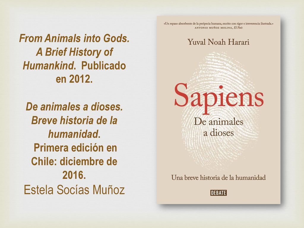 From Animals into Gods. A Brief History of Humankind.
