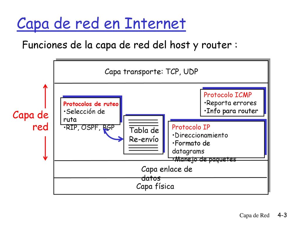 Capa de red en Internet Funciones de la capa de red del host y router : Capa transporte: TCP, UDP.