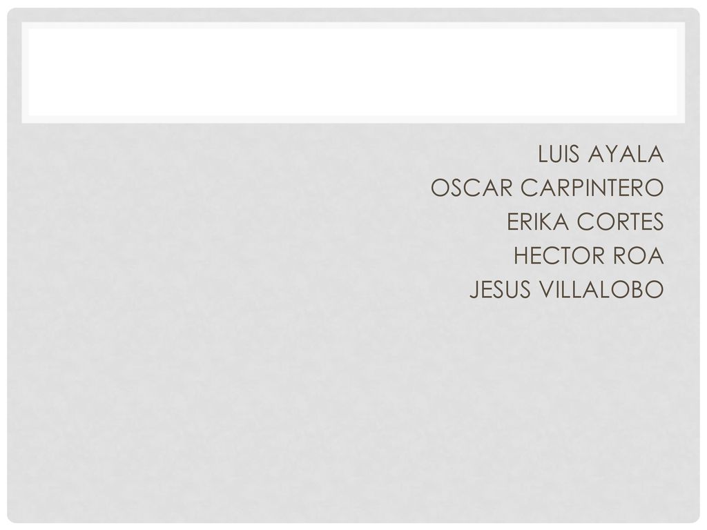 LUIS AYALA OSCAR CARPINTERO ERIKA CORTES HECTOR ROA JESUS VILLALOBO