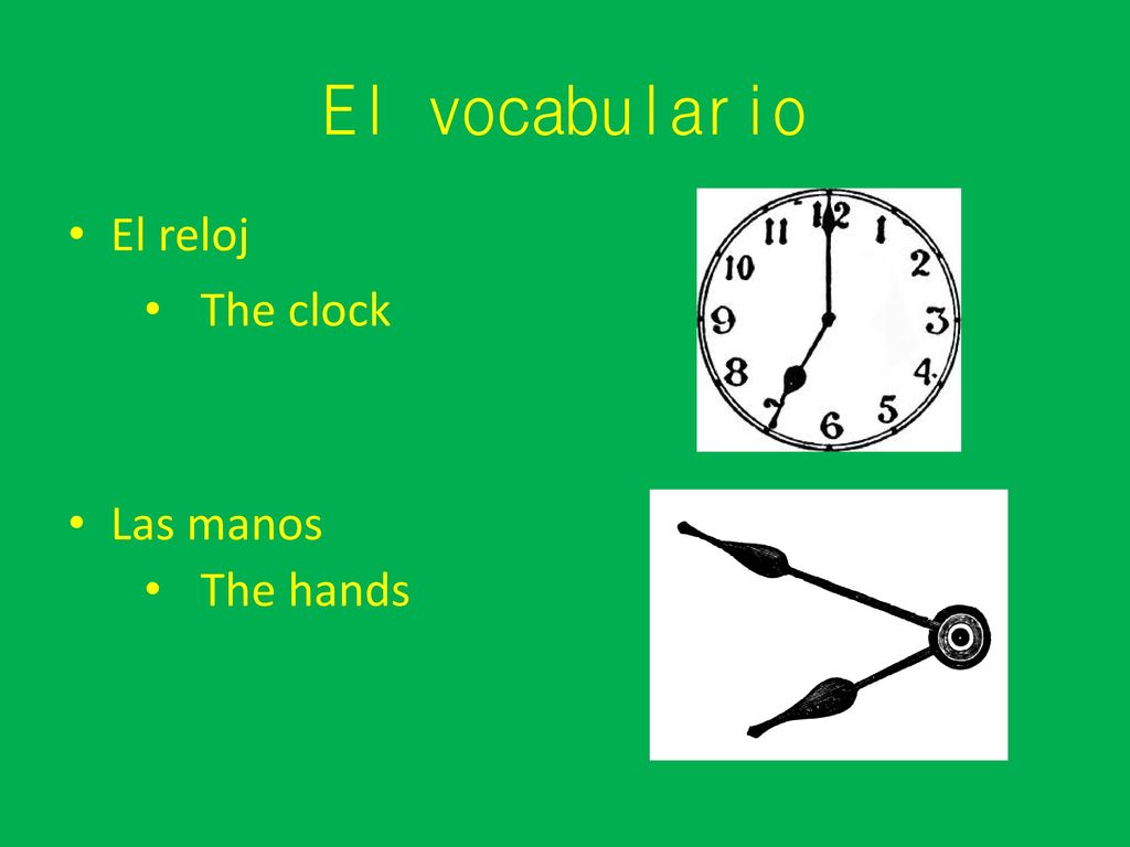 El vocabulario El reloj Las manos The clock The hands