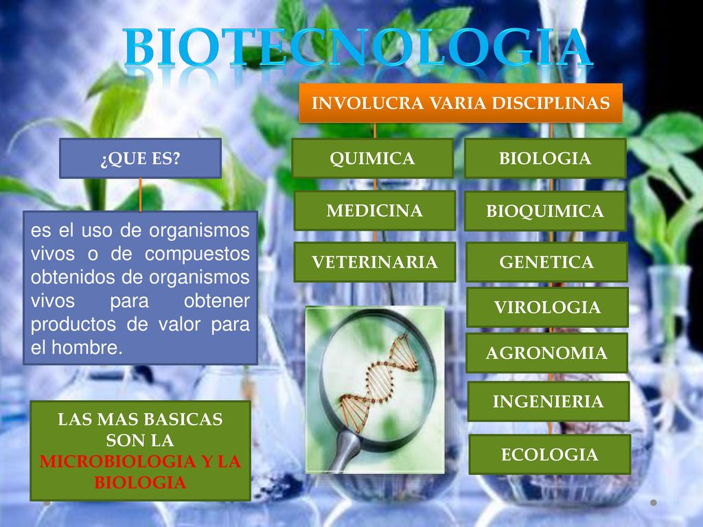BIOTECNOLOGIA INVOLUCRA VARIA DISCIPLINAS. ¿QUE ES QUIMICA. BIOLOGIA. MEDICINA. BIOQUIMICA.