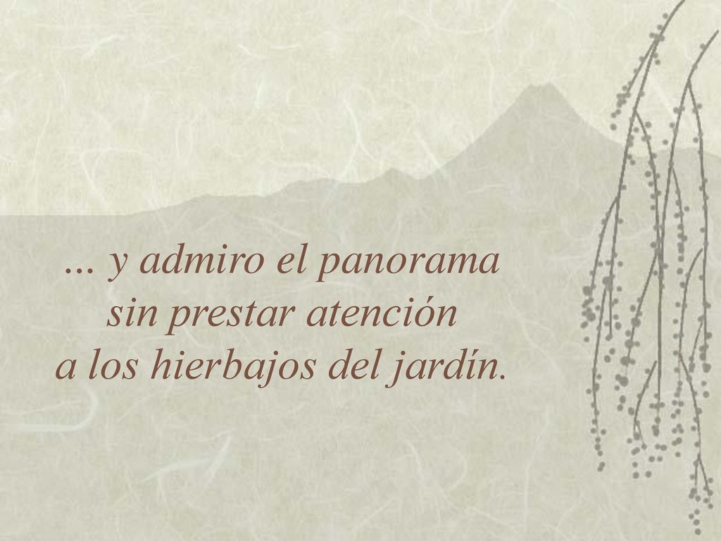 ... y admiro el panorama sin prestar atención a los hierbajos del jardín.