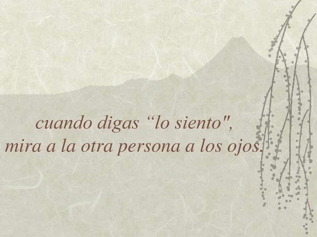 cuando digas lo siento , mira a la otra persona a los ojos.