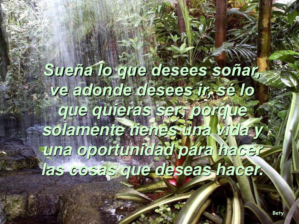 Sueña lo que desees soñar, ve adonde desees ir, sé lo que quieras ser; porque solamente tienes una vida y una oportunidad para hacer las cosas que deseas hacer.