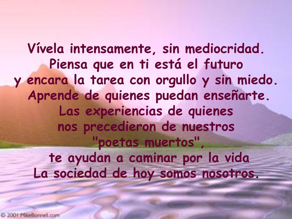 Vívela intensamente, sin mediocridad. Piensa que en ti está el futuro