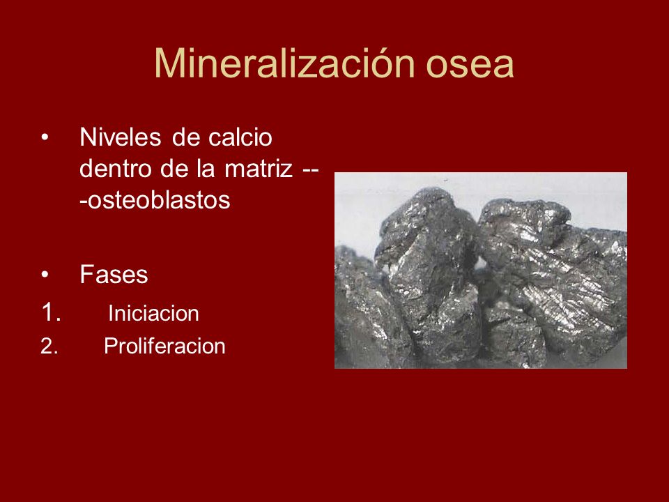 Mineralización osea Niveles de calcio dentro de la matriz ---osteoblastos.