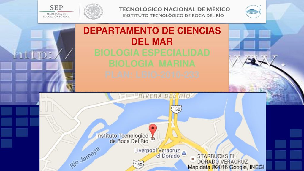 DEPARTAMENTO DE CIENCIAS DEL MAR BIOLOGIA ESPECIALIDAD BIOLOGIA MARINA PLAN: LBIO