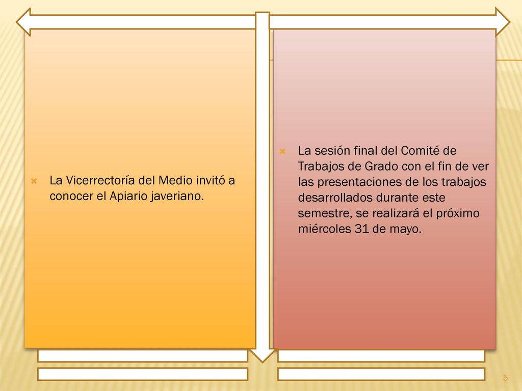 La Vicerrectoría del Medio invitó a conocer el Apiario javeriano.
