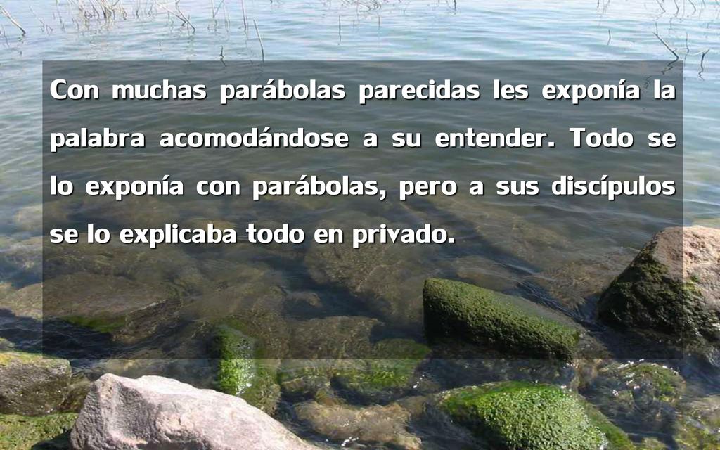 Con muchas parábolas parecidas les exponía la palabra acomodándose a su entender.