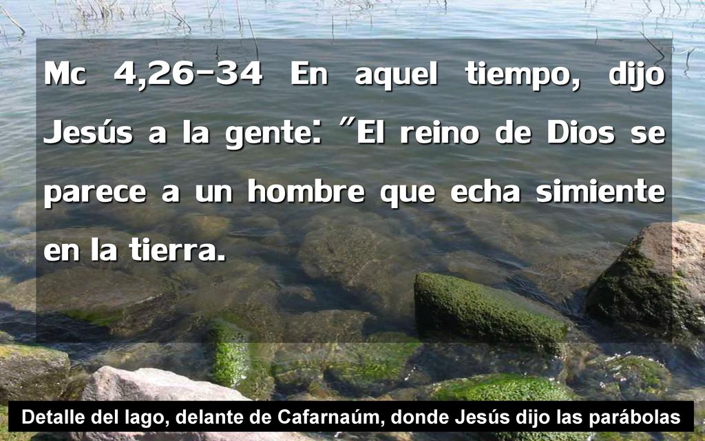 Detalle del lago, delante de Cafarnaúm, donde Jesús dijo las parábolas