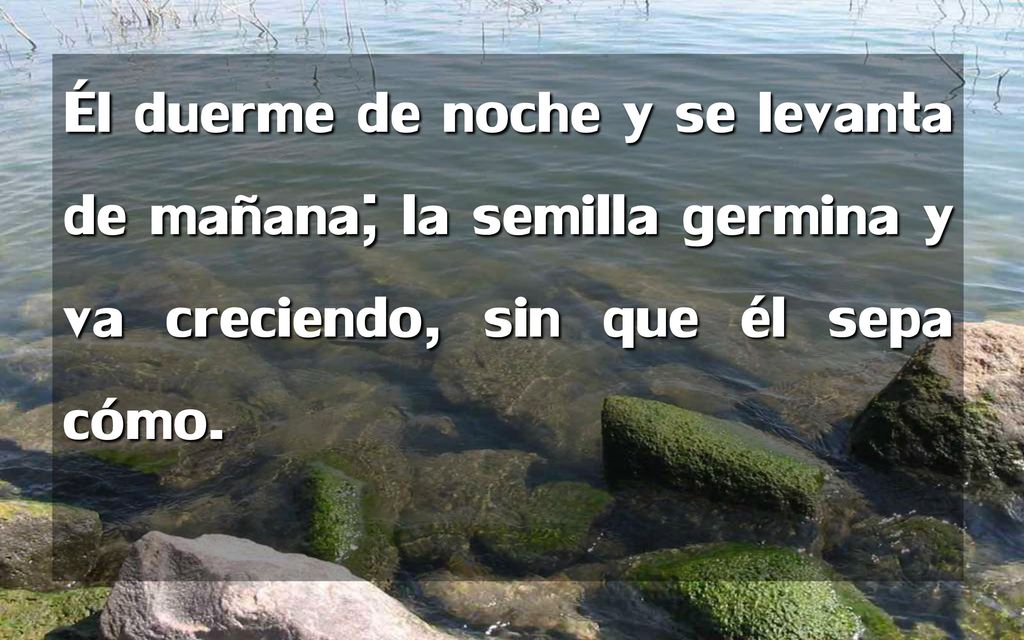 Él duerme de noche y se levanta de mañana; la semilla germina y va creciendo, sin que él sepa cómo.