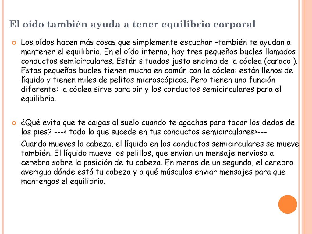 El oído también ayuda a tener equilibrio corporal