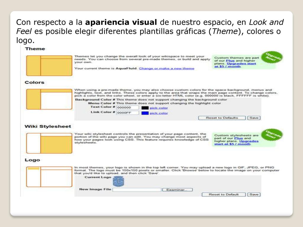 Con respecto a la apariencia visual de nuestro espacio, en Look and Feel es posible elegir diferentes plantillas gráficas (Theme), colores o logo.