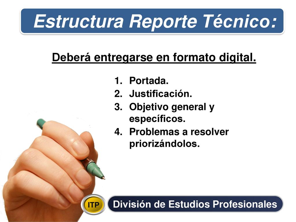 Estructura Reporte Técnico: Deberá entregarse en formato digital.