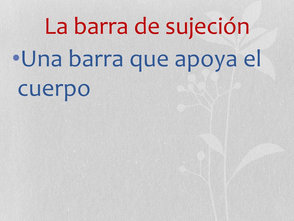 La barra de sujeción Una barra que apoya el cuerpo
