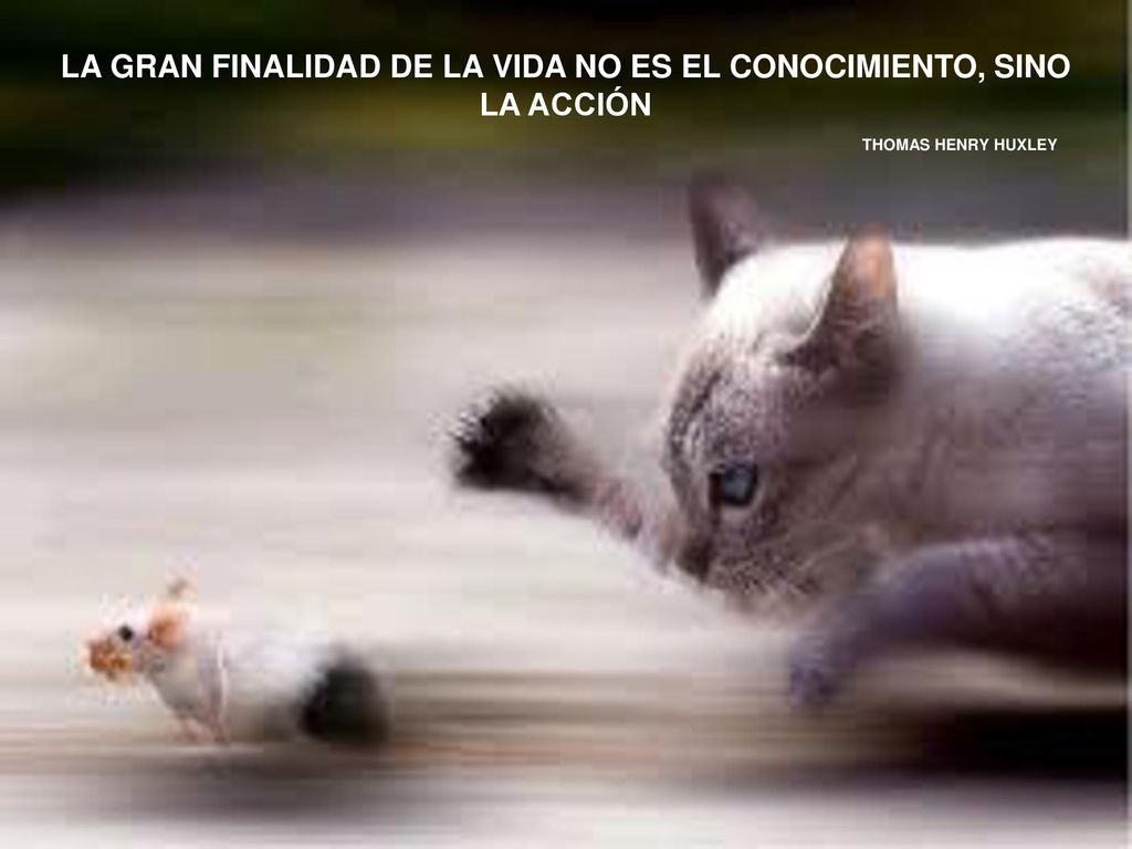 LA GRAN FINALIDAD DE LA VIDA NO ES EL CONOCIMIENTO, SINO LA ACCIÓN