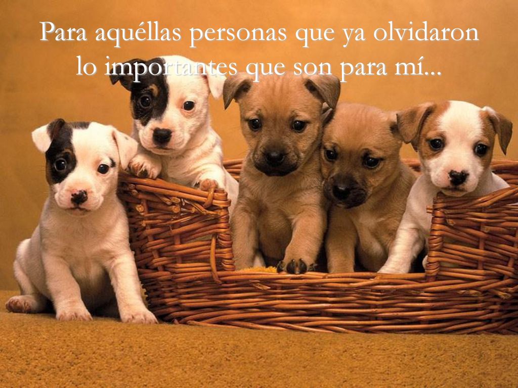 Para aquéllas personas que ya olvidaron lo importantes que son para mí...