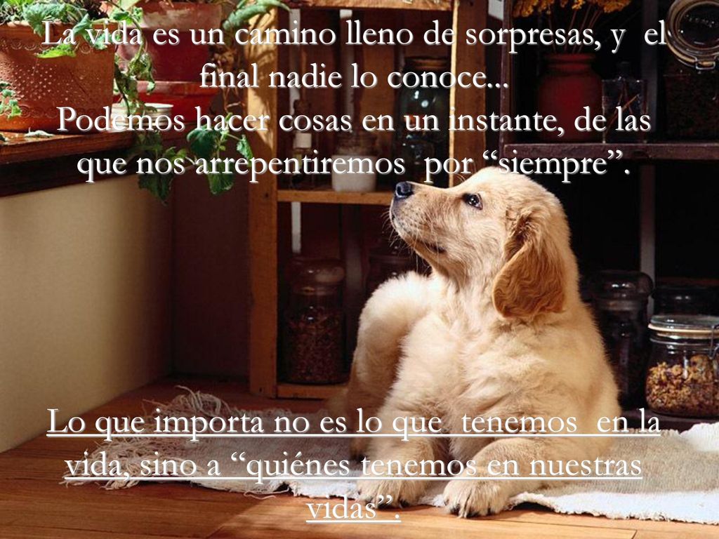 La vida es un camino lleno de sorpresas, y el final nadie lo conoce