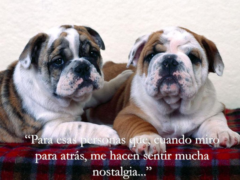 Para esas personas que, cuando miro para atrás, me hacen sentir mucha nostalgia...