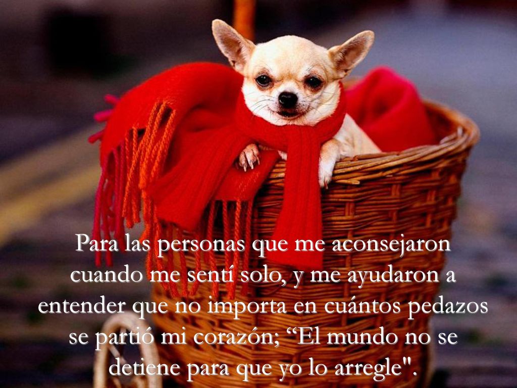 Para las personas que me aconsejaron cuando me sentí solo, y me ayudaron a entender que no importa en cuántos pedazos se partió mi corazón; El mundo no se detiene para que yo lo arregle .