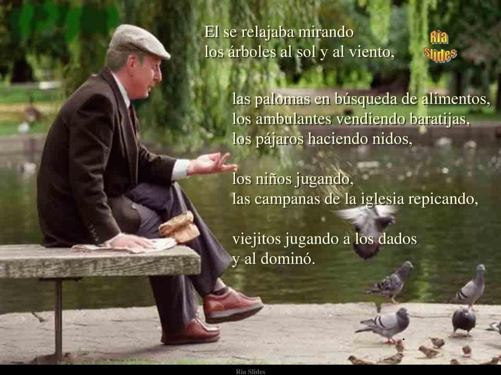 El se relajaba mirando los árboles al sol y al viento,