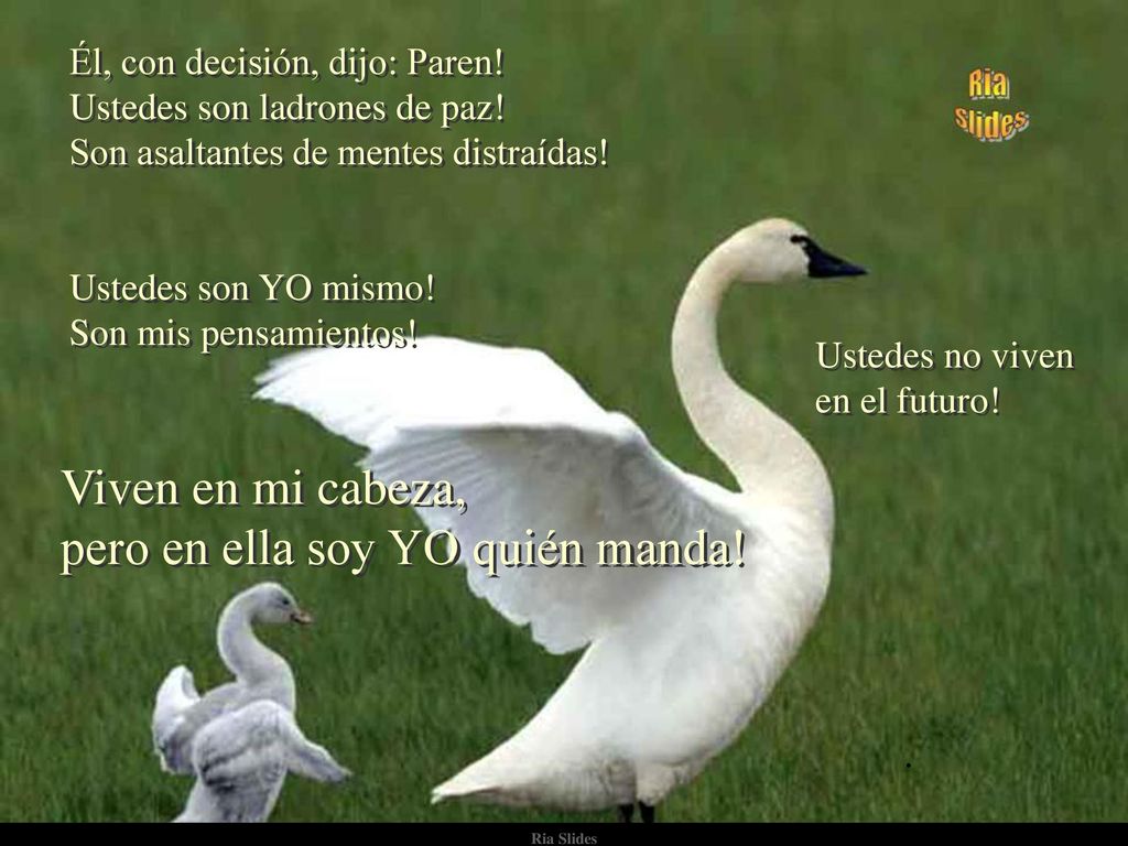 Viven en mi cabeza, pero en ella soy YO quién manda!